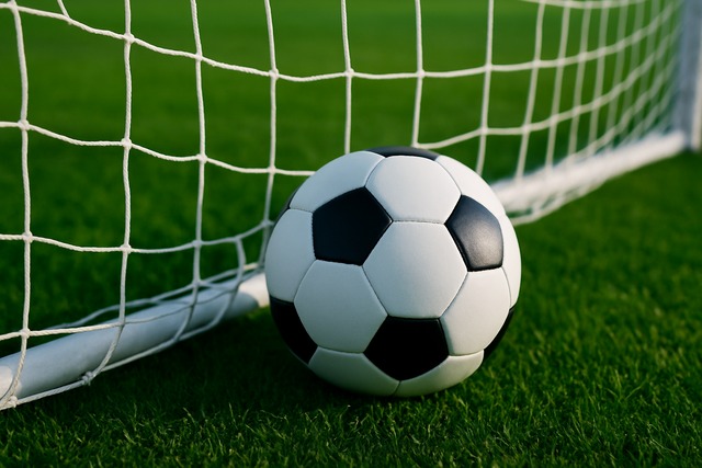 soccer-ball-net